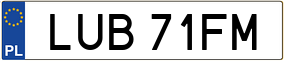Trailer License Plate